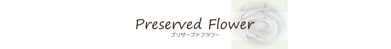 Preserved Flower